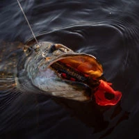 Westin Swim Tail Hybrid Lures 12cm/62g